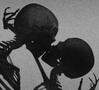 love is dead